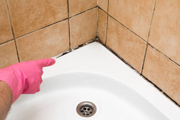 Best Commercial Mold Removal  in Metter, GA